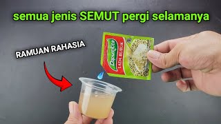 Ternyata cuma pake RAMUAN ini semut pergi selamanya !!!