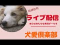 日曜定例ライブ4月5日 何でも質問デーです