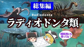 【睡眠用・ゆっくり解説】ラディオドンタ類　総集編【広告最初のみ　途中広告なし】