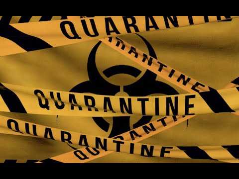 Karantina Sesi 1 ( The Quarantine Sound 1 )