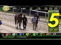 Tampa Bay Downs Live Stream