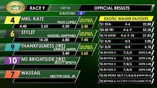 Tampa Bay Downs Live Stream
