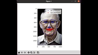 Python Face landmarks using Face alignment