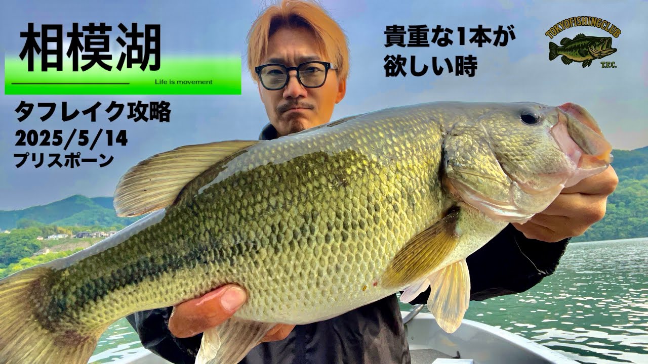 相模湖バス釣り　2025/5/14 プリスポーン