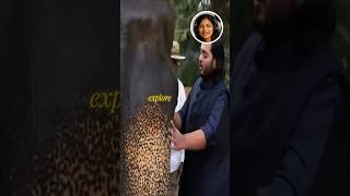 Next Level Elephant Care #vantara #elephantcare#anantambani#nitaambani#radhikamerchant#mukeshambani