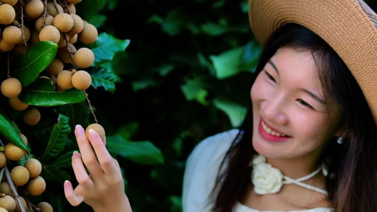 Head into the longan orchards for the perfect travel shots. 🌬️