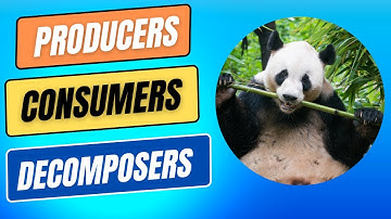 Ecosystems | What are Producers, Consumers & Decomposers? #sciencebytes