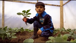 Instalación De Fitotoldo Para Producción De Hortalizas