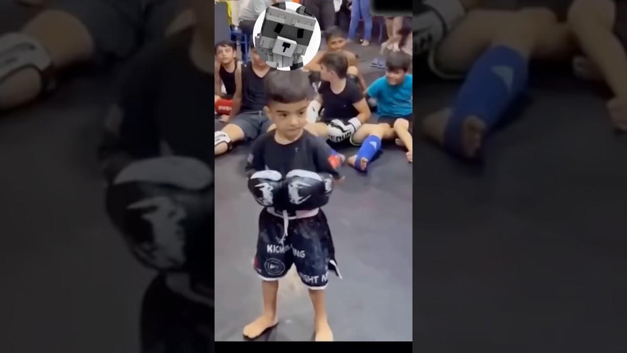 Red fox vs raccoon which is better 