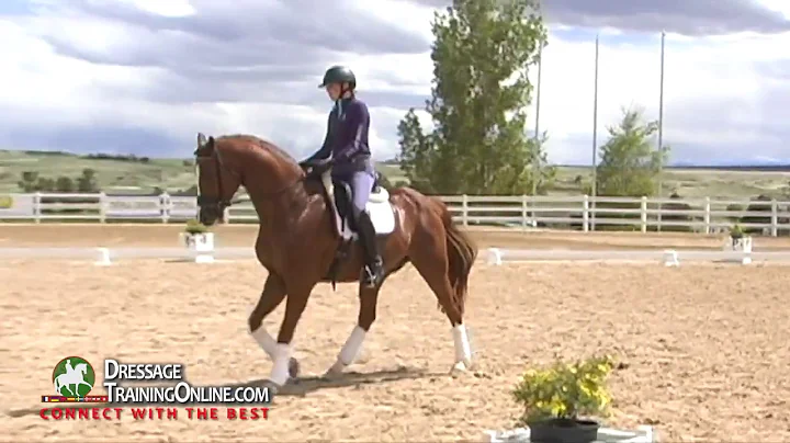 Dressage Training by Lars Petersen on Improving th...
