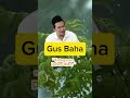Gus Baha Ketegasan dalam Islam #kajian #gusbahaterbaru #gusbaha2025 #kajianislam