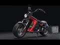 elektroroller chopper Rooder Runner citycoco electric scooter 30ah EEC COC E-scooter r804-m8