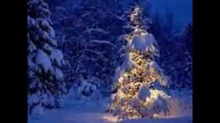 Andrea Bocelli  -  O Tannenbaum - O Christmas Tree -  Oh albero chords