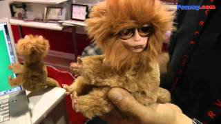 Tandars USB Pet Quick Look at CES 2011 in HD