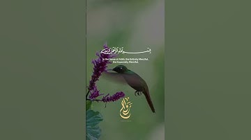 قۤۚ وَٱلۡقُرۡءَانِ ٱلۡمَجِیدِ الشيخ المنشاوي سورة ق #رواح #المنشاوي #قرآن كريم