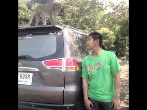 พลังงานจน ลาบานูม
