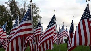 Veterans Day Tribute