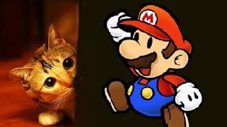 MARIO FAIT PEUR AUX CHATS - PAROLE DE CHAT