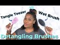 Wet Brush Vs Tangle Teezer| Which brush detangles curls better?| AshSetsTrends