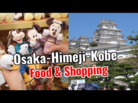 Japan Vlog | Disney & Sanrio Store 2024