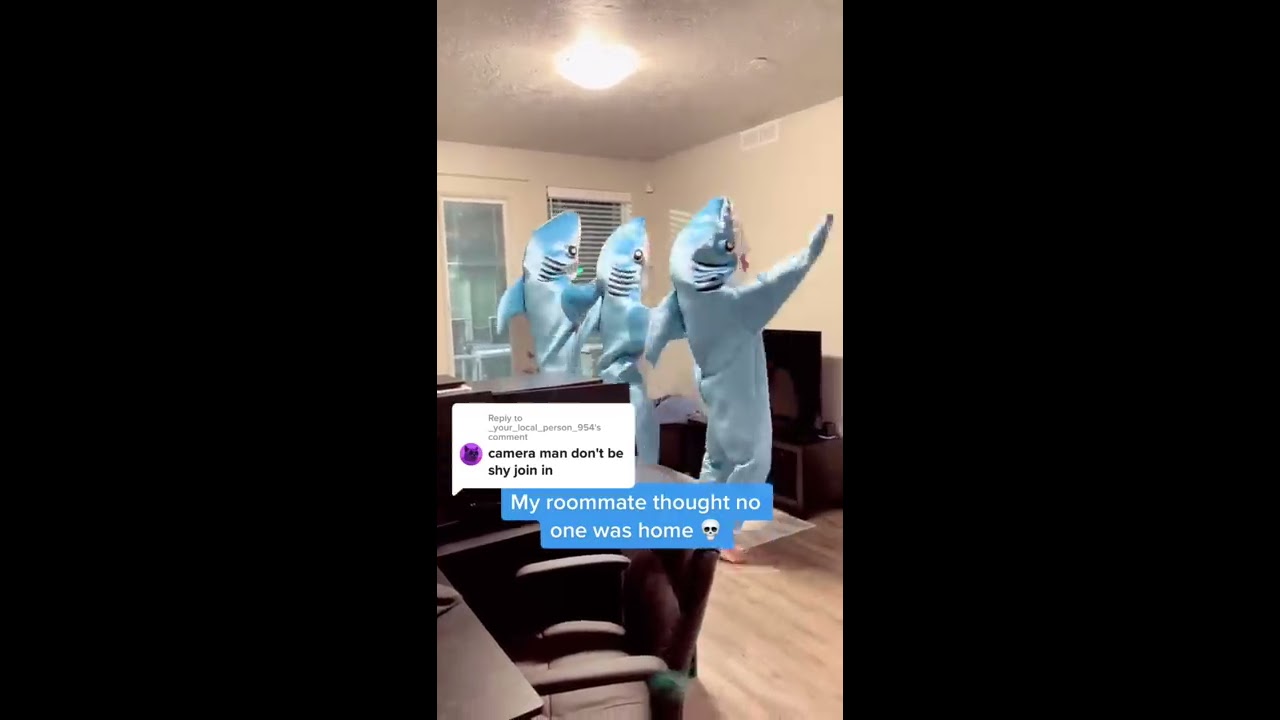 2nd Cameraman Joins Dancing Shark Roommate LeftShark CaliforniaGurls