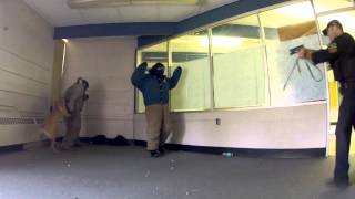 Information 2015 K9 Deployment Workshop Update