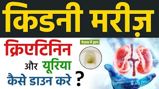 किडनी मरीज़ क्रिएटिनिन और यूरिया ऐसे डाउन करें? | Lower Creatinine and Urea