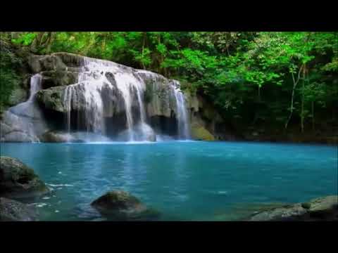 Chris Linton \u0026 Cadmium - Slow Down [NCS Release | Lyric Video]