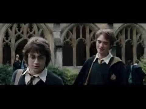Remember Cedric Diggory