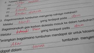 Darjah 4, sains , proses hidup tumbuhan