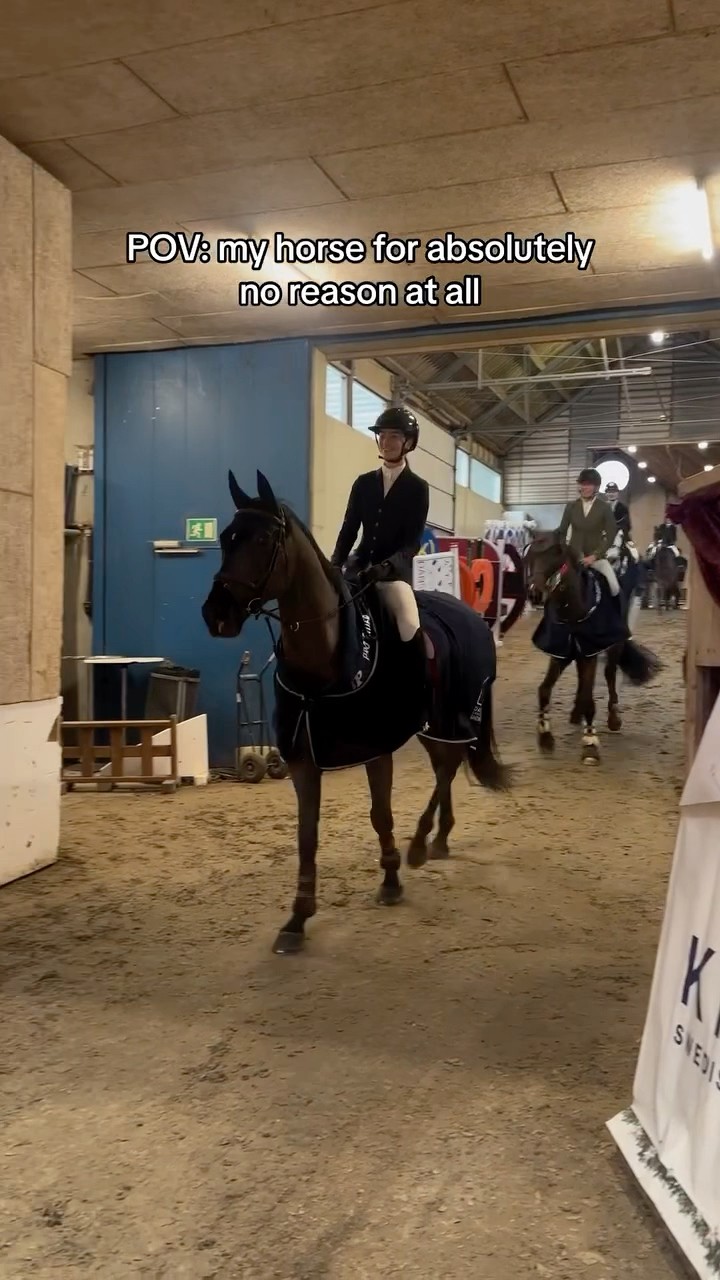 #JasonDeruloTV // Horse ? #GotPermissionToPost From IG @caroline.amalie_equestrian #JalebiBaby