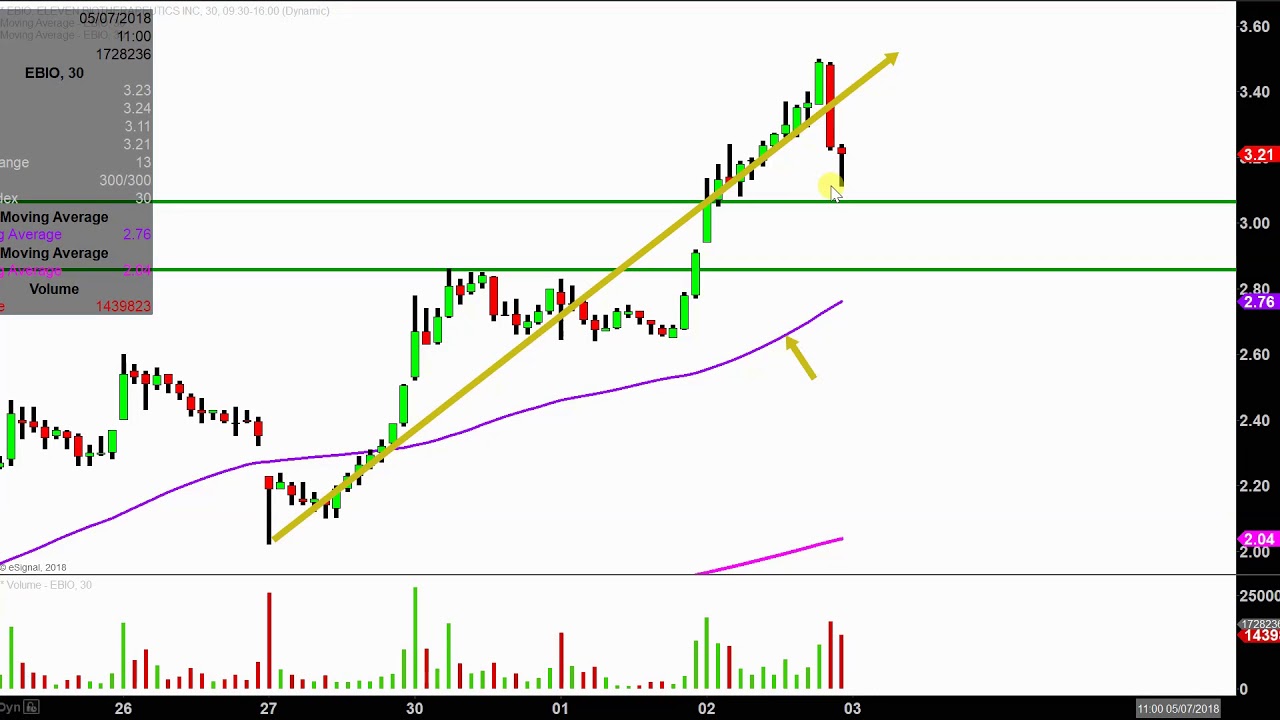 Ebio Chart