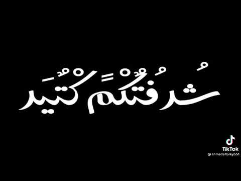 بكرة مهرجان بطولي واقف بطولي طز طز فيكم حمو الطيخا قبل اي حد