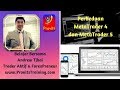 Tutorial MetaTrader 4 bahasa indonesia