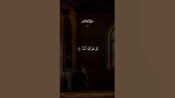 سورة الإخلاص #سورة #المصحف #القرآن #القرآن_الكريم #قران_كريم #اكسبلور #تلاوة #تلاوة_خاشعة #الله