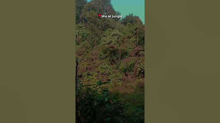 299 minutes in Jungle *Clickbait* #shorts