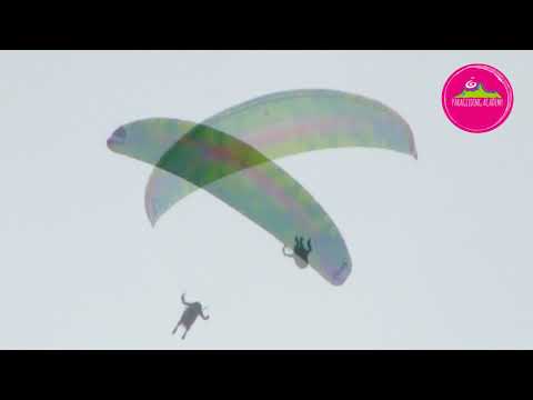 BGD Punk testflight