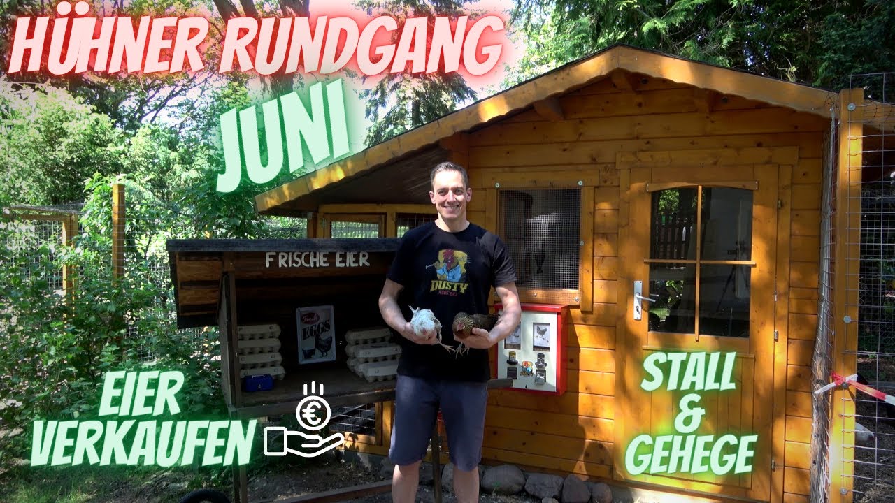 Hühner Rundgang Juni - Eier verkaufen, Infos zu Stall und Gehege - Anfänger-Tipps