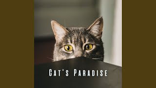 Kitty Serenity
