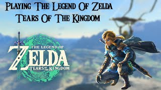 Playing The Legend Of Zelda Tears Of The Kingdom Episode 11.