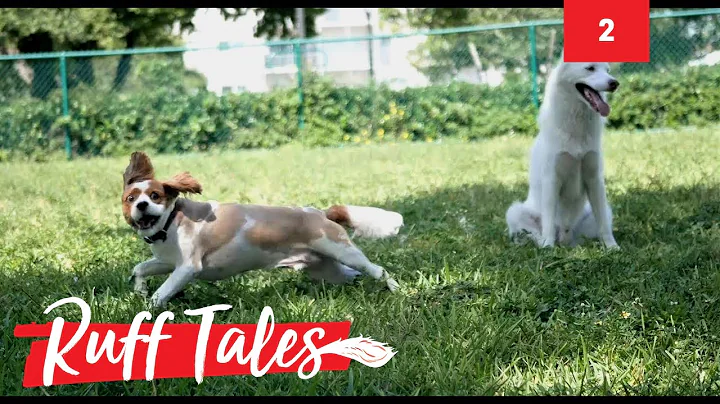 Ruff Tales - Season 1 EP 2 The Russians are coming!