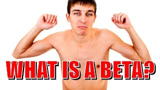What Is A BETA MALE? ( The HONEST DEFINITION Of A BETAAAA!!! )