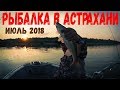 Рыбалка в Астрахани. Повторить сложно, превзойти - невозможно!