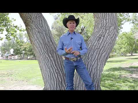 What is The Horsemanship Journey
