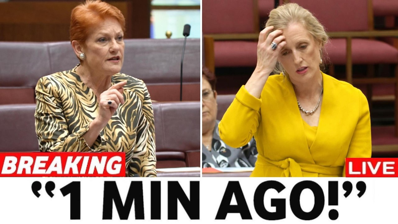 Labor LOSES IT After Pauline Hanson Proved that Albanese is Selling Out Australian Land