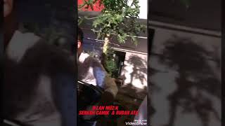 Diyarbakır Halayı Di̇lan Müzi̇k Serkan Çamik & Rubar Ata Grani̇ Süper Ortaya Çıkış Figürleri .. Resimi