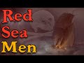 Pirates of the indian ocean the red sea men