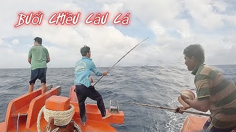 Vòng lưới 1000m phao đánh chỉ vô được...| Đánh cá 2024 - Tập 10 | Sóng biển Hứa Đông