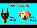 Size En Uygun Köpek Cinsini Nasıl Seçersiniz