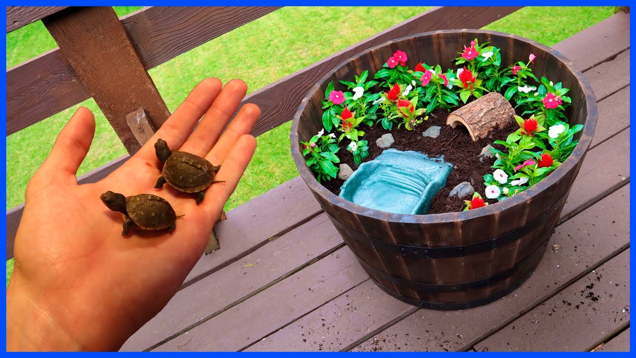 Ways to fill a care package with mini turtles? : r/DIY